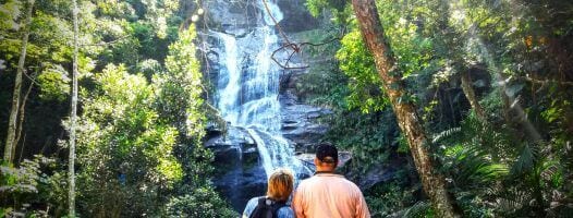 Tijuca Forest Hike Rio
