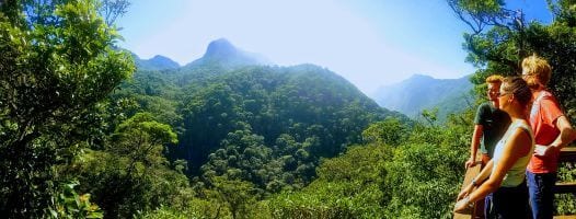 Tijuca Forest Hiking