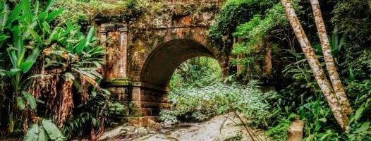 Tijuca Forest Bridge