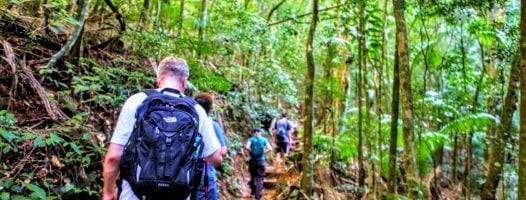 Hiking at Tijuca Forest