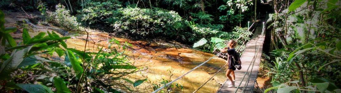 Hiking at Tijuca Forest bridge