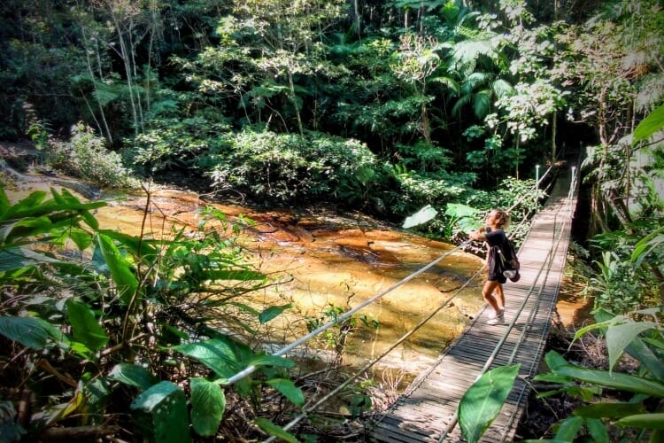 Tijuca Forest suspension bridge