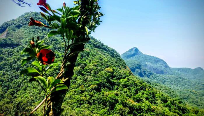 Hiking Rio de Janeiro