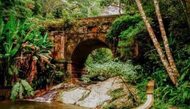 Tijuca Forest Bridge
