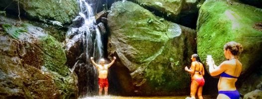 Tijuca Forest