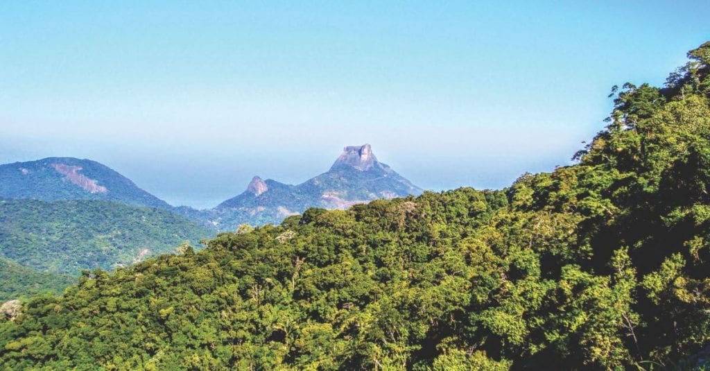 The Other Side of Rio