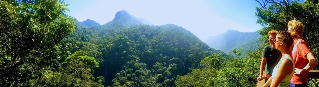 Tijuca Forest Easy trail hike