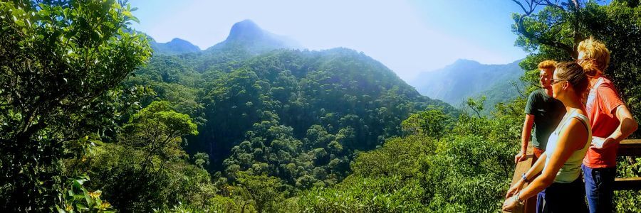 Tours with hiking in Rio