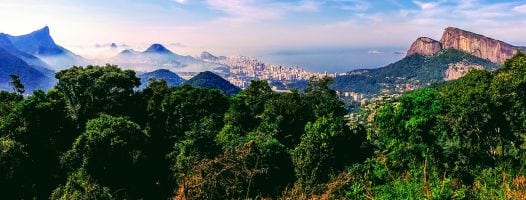 Vista Chinesa - Tijuca Forest